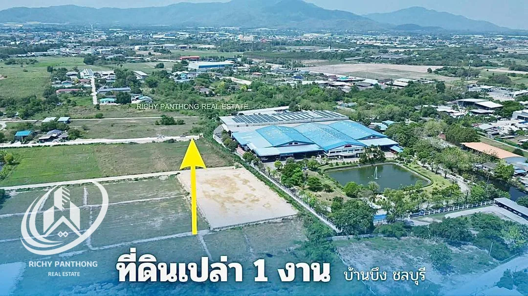 ขายที่ดินเปล่า 1 งาน ต.บ้านบึง อ.บ้านบึง จ.ชลบุรี