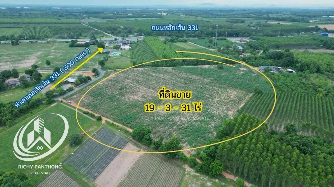 ขายที่ดินเปล่า 19-3-31 ไร่ (ติดถนนใหญ่เส้น 331) ต.นาวังหิน อ.พนัสนิคม จ.ชลบุรี - 2