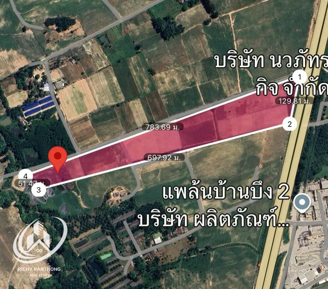 ที่ดินให้เช่า ทำเลสวย 40 ไร่ (ติดถนนเส้น 331) ต.หนองไผ่แก้ว อ.บ้านบึง จ.ชลบุรี - 3