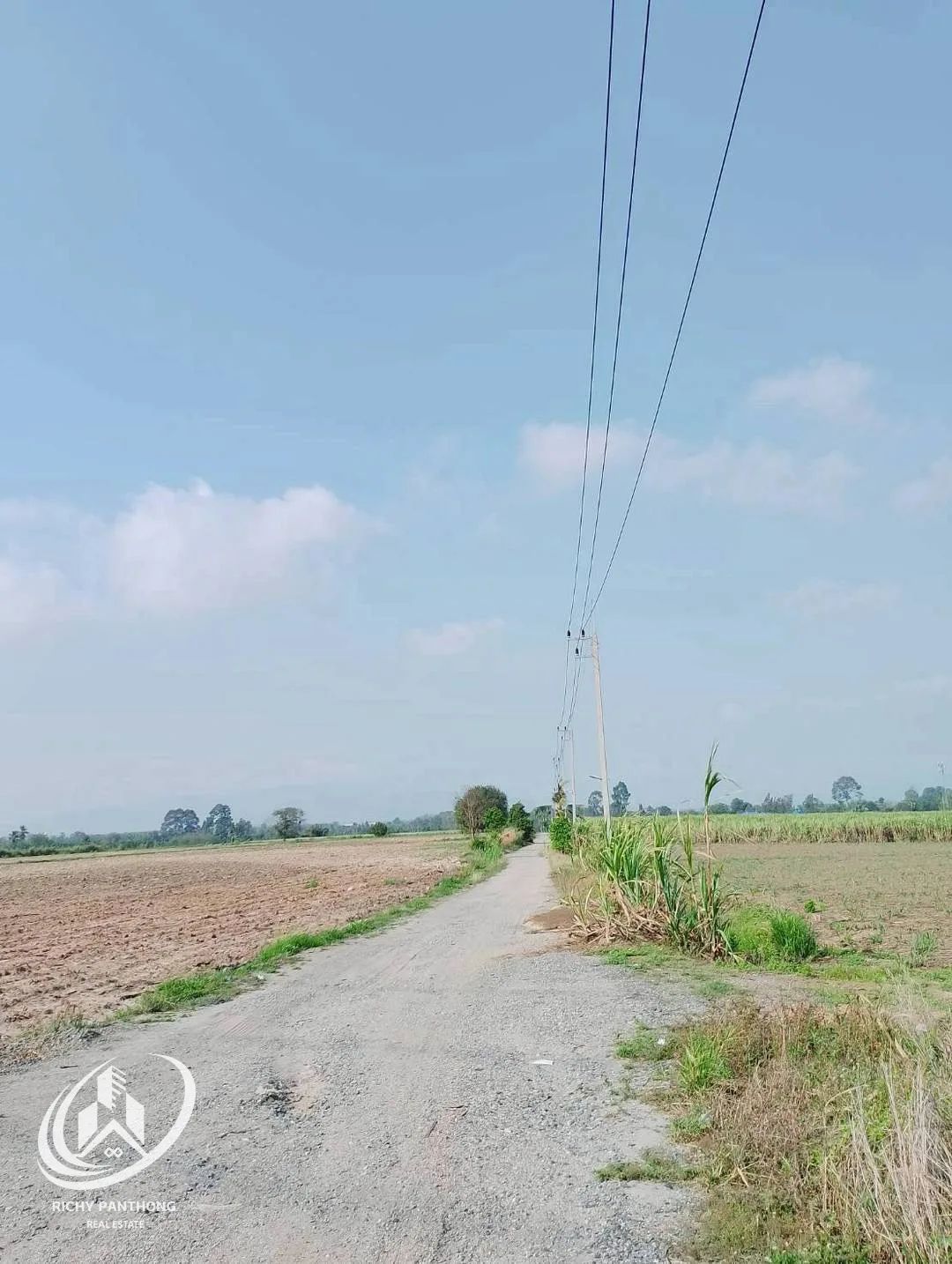 ที่ดินให้เช่า ทำเลสวย 40 ไร่ (ติดถนนเส้น 331) ต.หนองไผ่แก้ว อ.บ้านบึง จ.ชลบุรี - 6