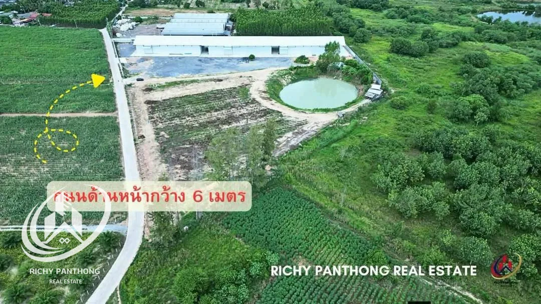 โกดังให้เช่า/ขาย 1,000 - 3,000 ตารางเมตร (ใกล้ถนนเส้น 331) ต.หนองไผ่แก้ว อ.บ้านบึง จ.ชลบุรี - 2